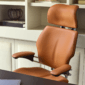 Freedom Headrest